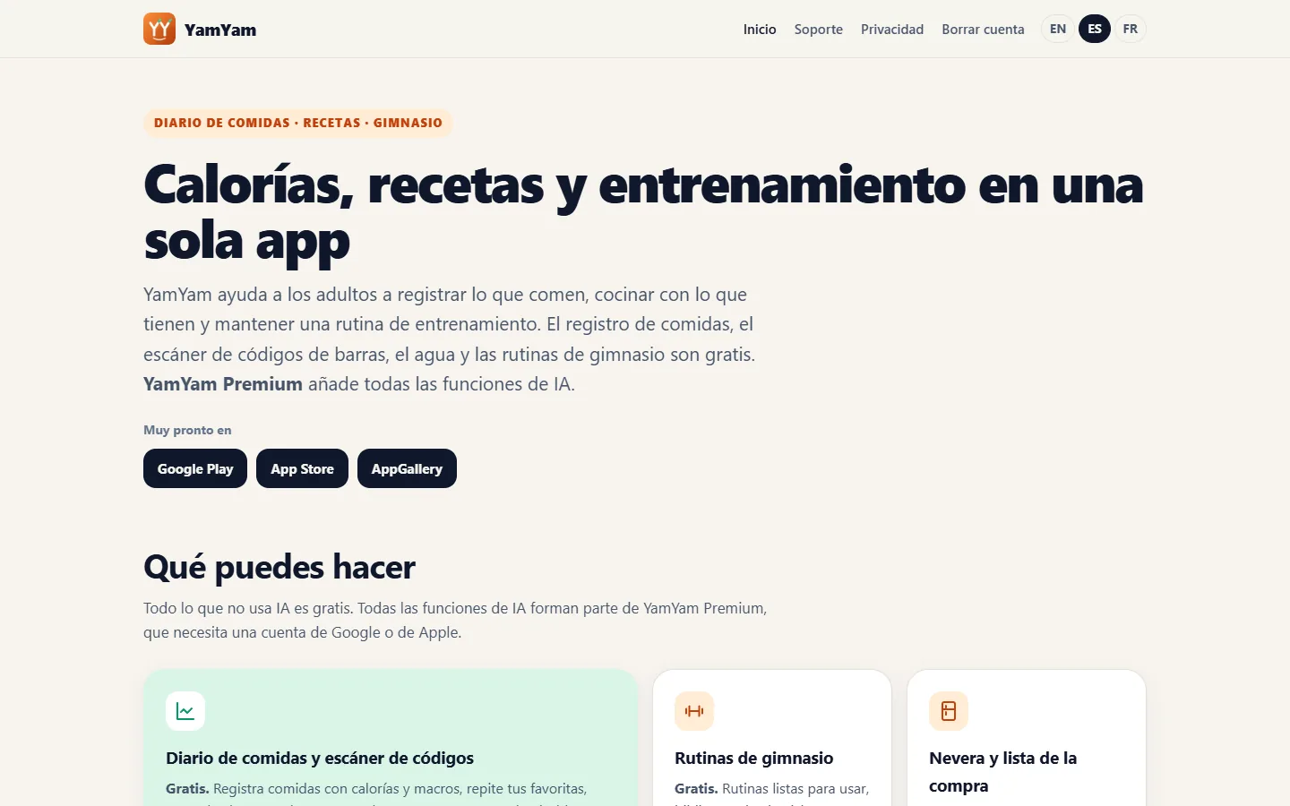 Web de YamYam IA